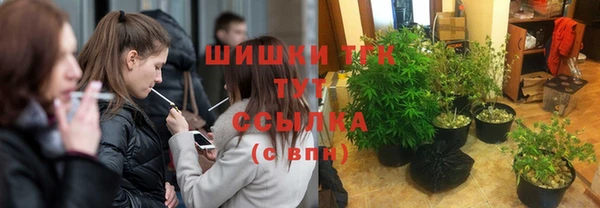 тгк Касимов