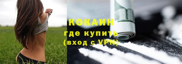 мяу мяу мука Иннополис