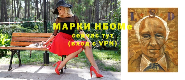 метадон Богданович