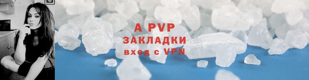 метадон Богданович