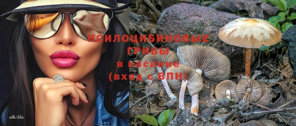 прущая мука Карталы
