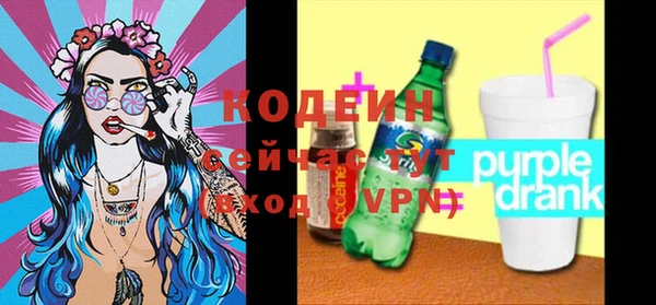 метадон Богданович