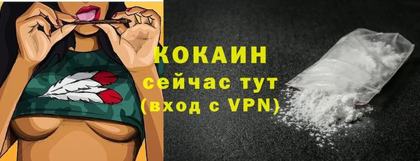 метадон Богданович