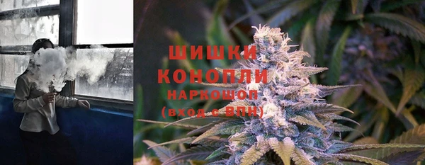 спайс Богородск