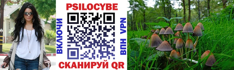 Псилоцибиновые грибы Psilocybe  это Telegram  Кинешма 