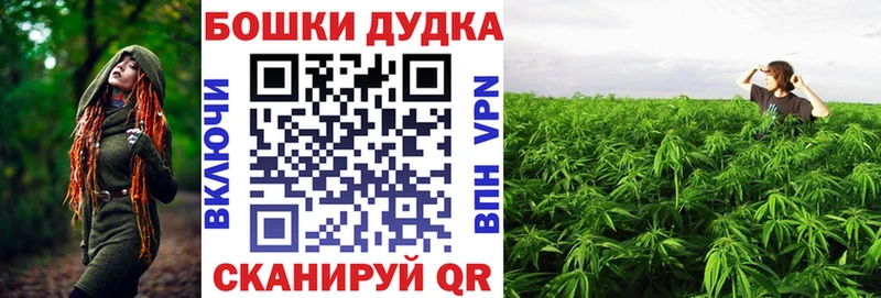 Бошки Шишки план Кинешма